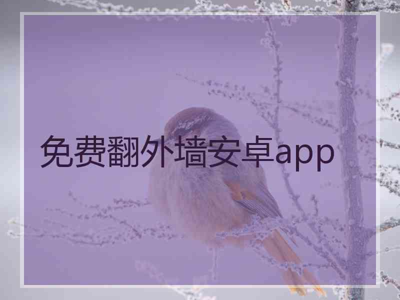 免费翻外墙安卓app