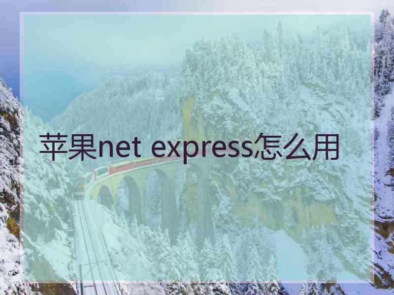 苹果net express怎么用