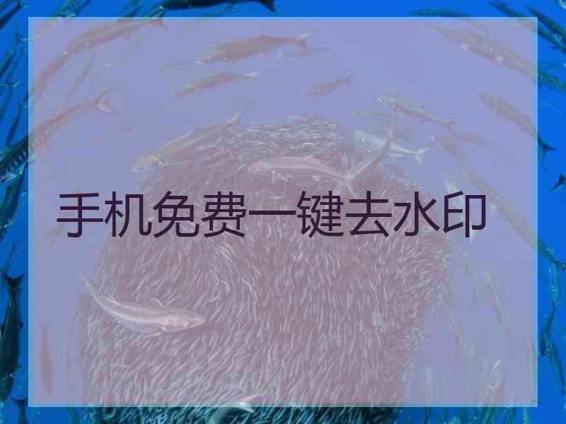 手机免费一键去水印