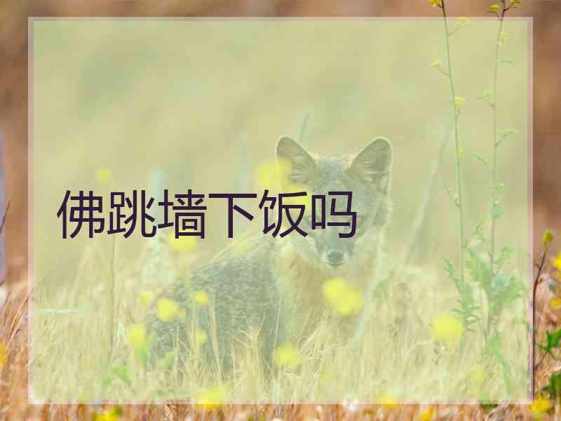 佛跳墙下饭吗