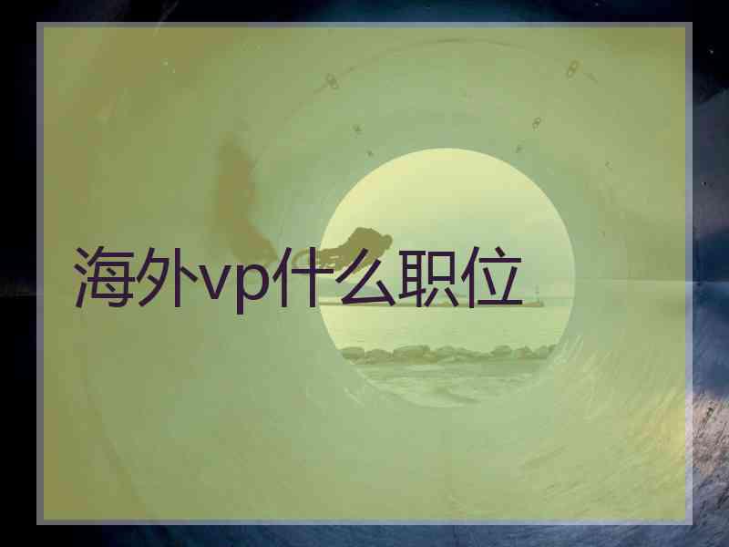 海外vp什么职位