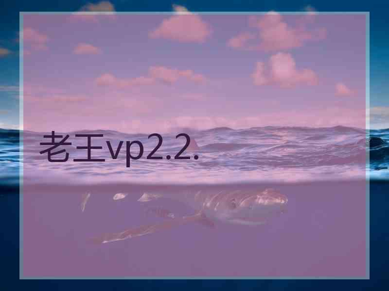 老王vp2.2.
