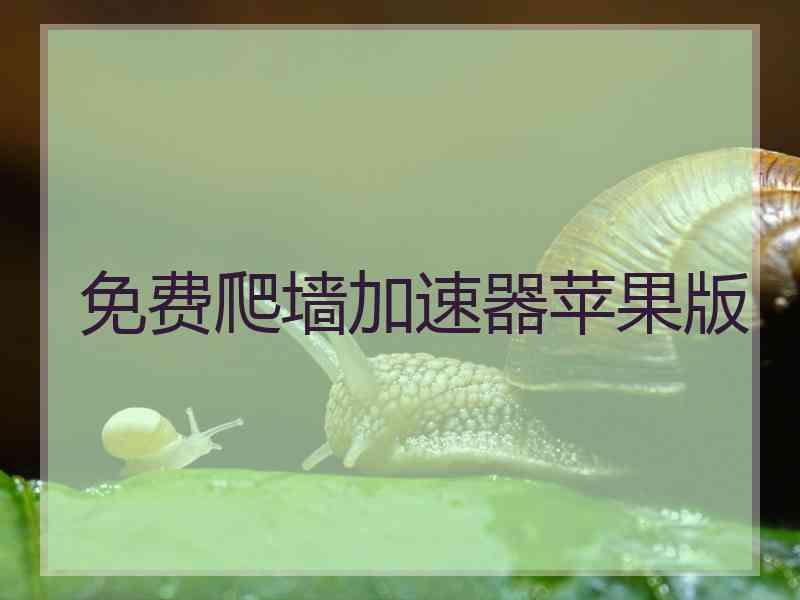 免费爬墙加速器苹果版