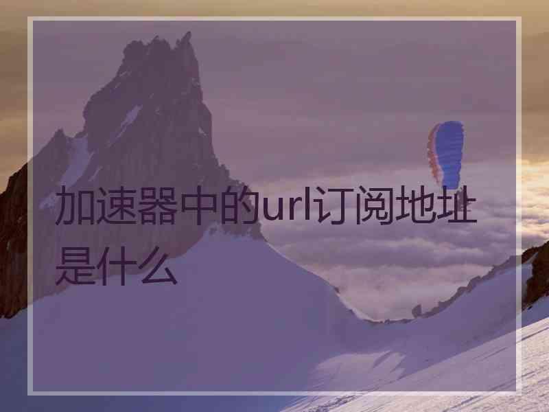 加速器中的url订阅地址是什么