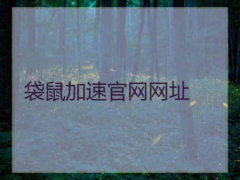 袋鼠加速官网网址