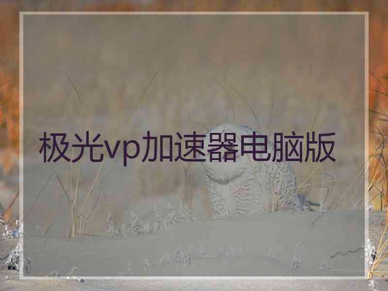 极光vp加速器电脑版
