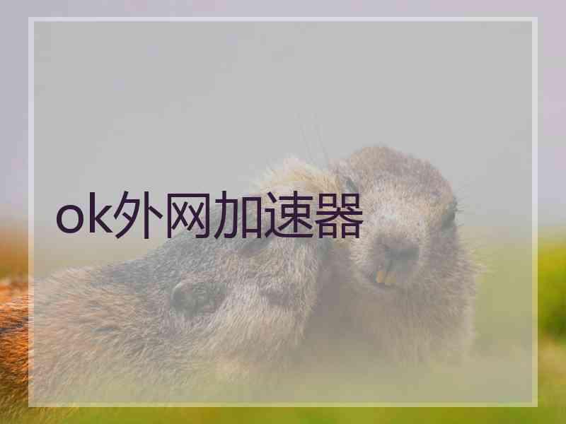 ok外网加速器