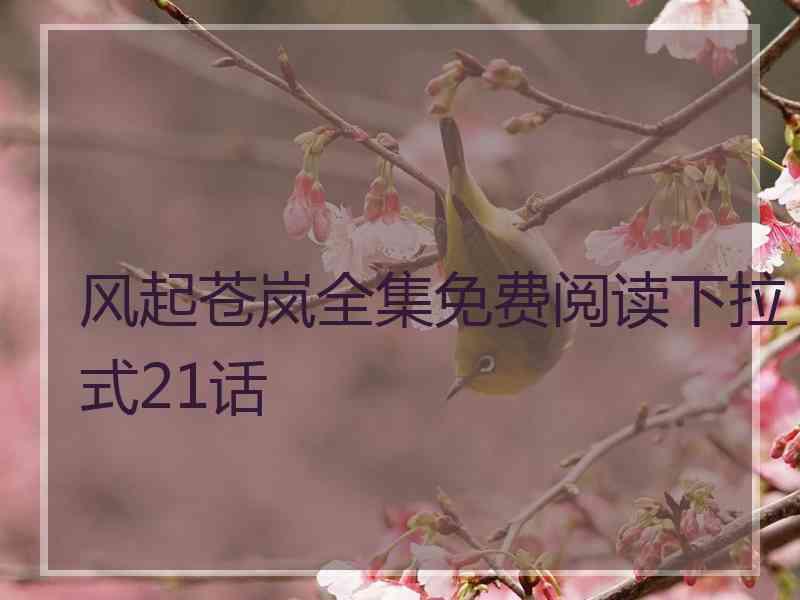 风起苍岚全集免费阅读下拉式21话