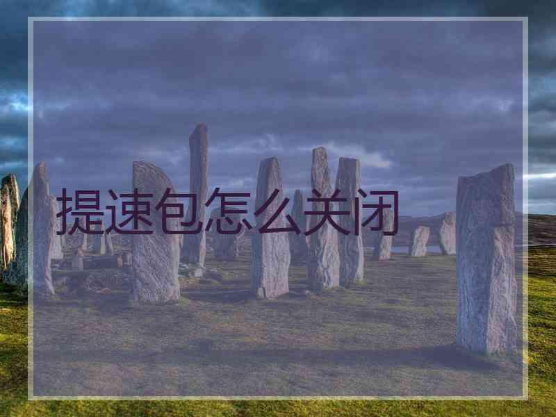 提速包怎么关闭