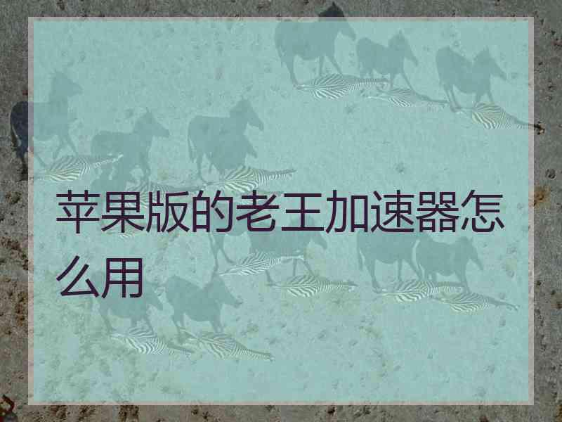苹果版的老王加速器怎么用