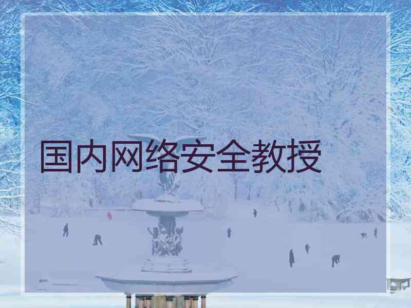 国内网络安全教授