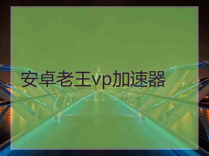 安卓老王vp加速器