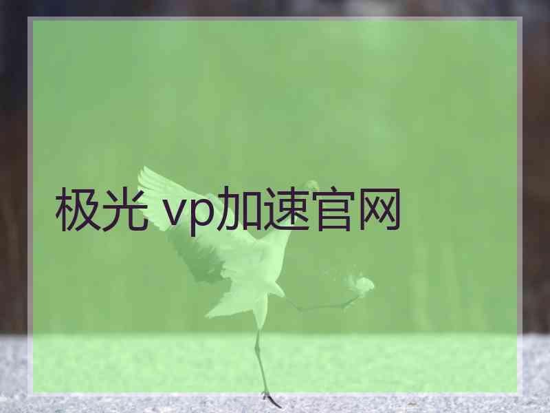 极光 vp加速官网