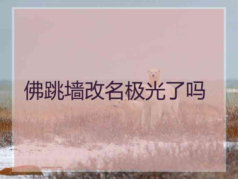 佛跳墙改名极光了吗