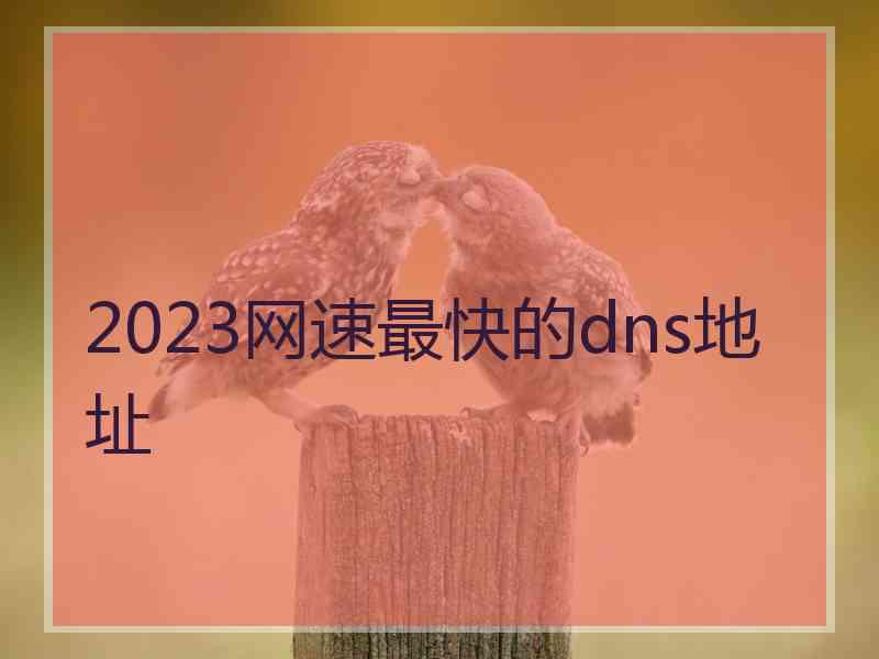 2023网速最快的dns地址