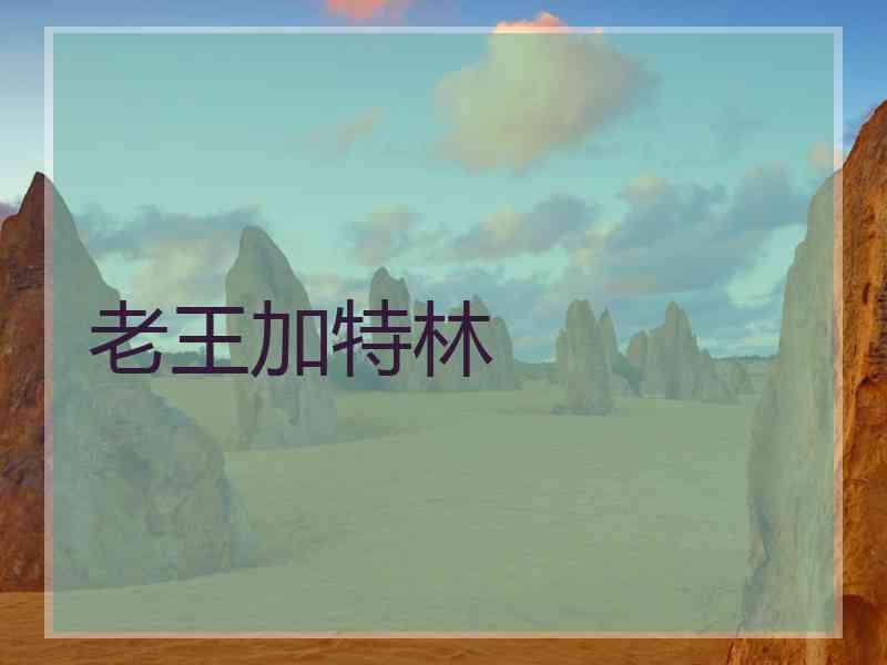 老王加特林