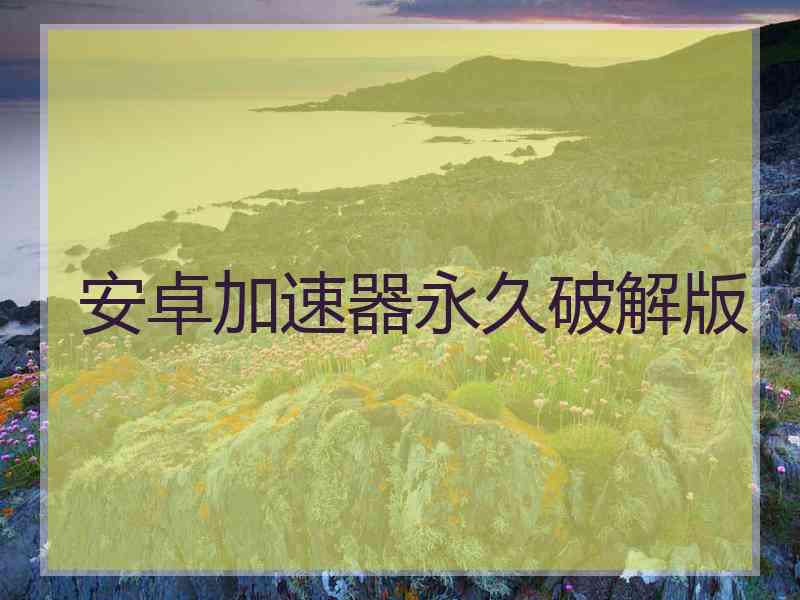 安卓加速器永久破解版
