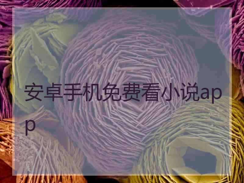 安卓手机免费看小说app