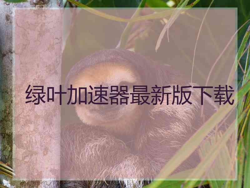绿叶加速器最新版下载