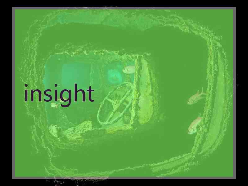 insight