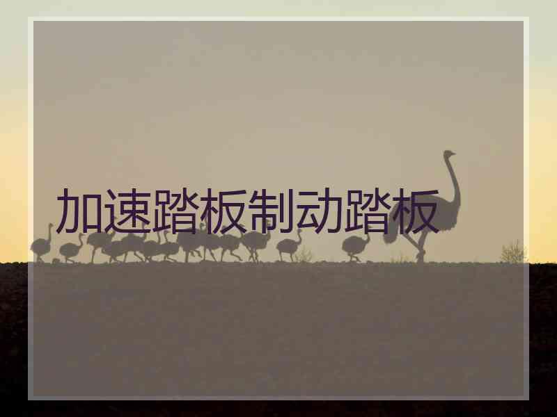 加速踏板制动踏板