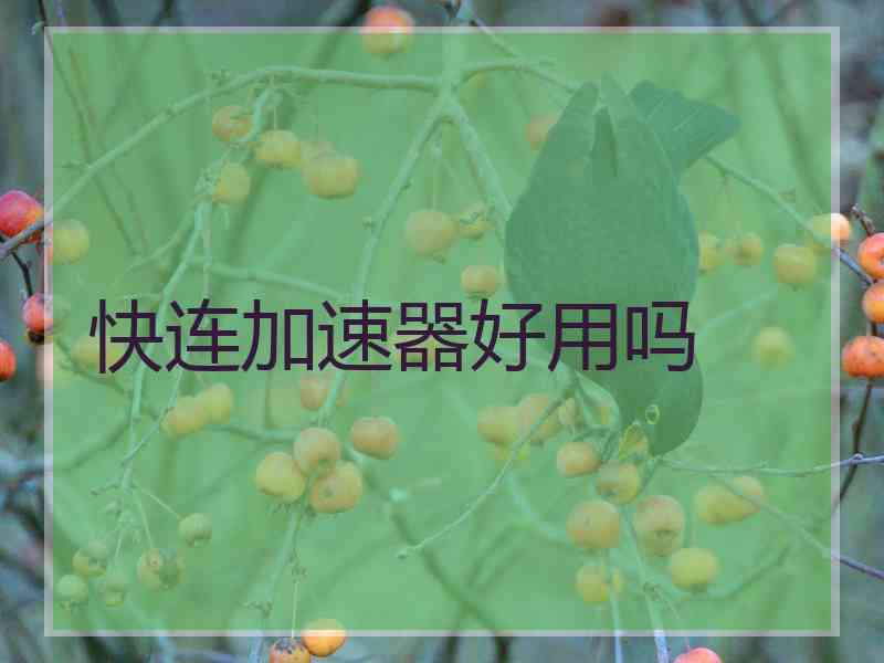 快连加速器好用吗