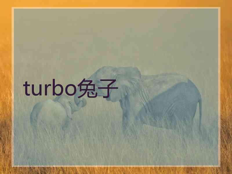 turbo兔子