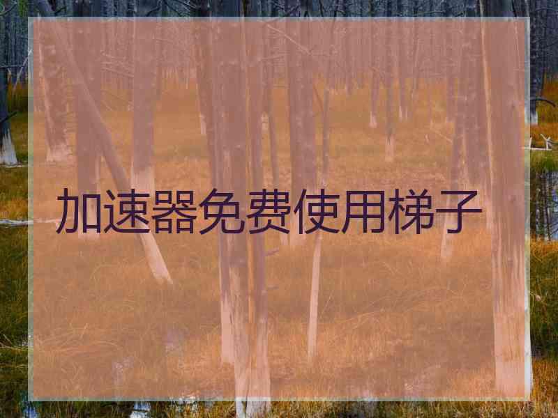 加速器免费使用梯子
