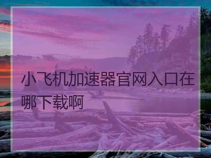 小飞机加速器官网入口在哪下载啊