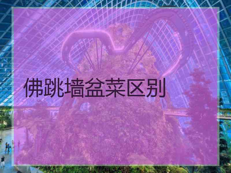 佛跳墙盆菜区别