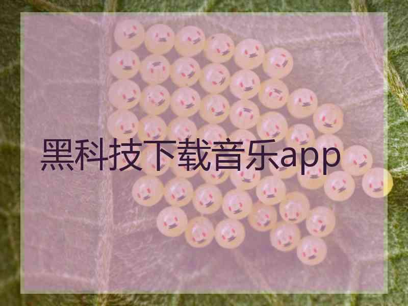 黑科技下载音乐app