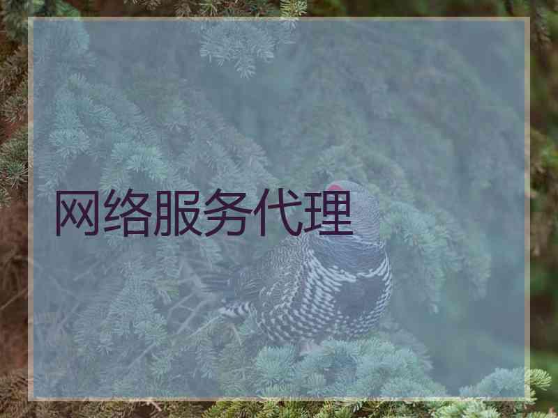 网络服务代理