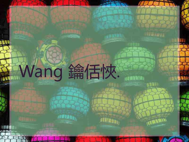 Wang 鑰佸悏.