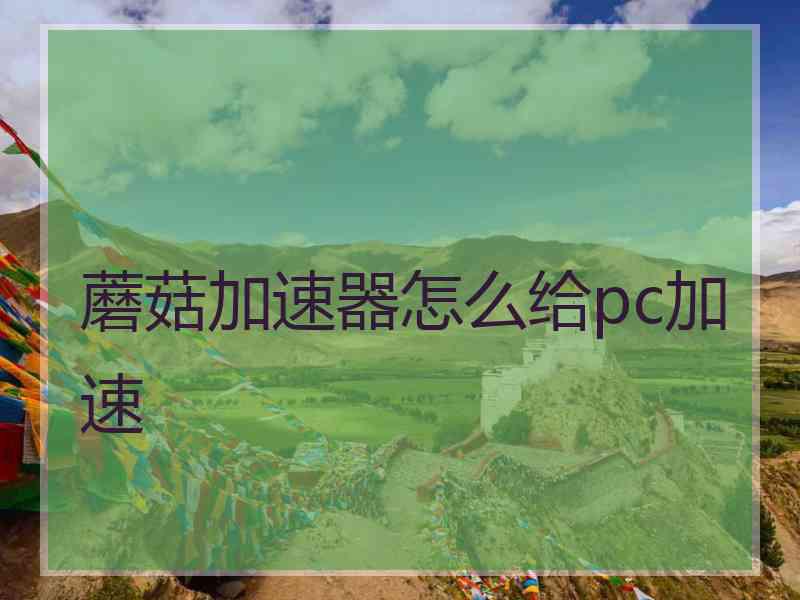 蘑菇加速器怎么给pc加速