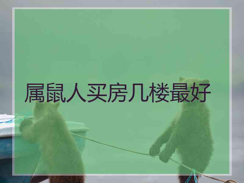 属鼠人买房几楼最好