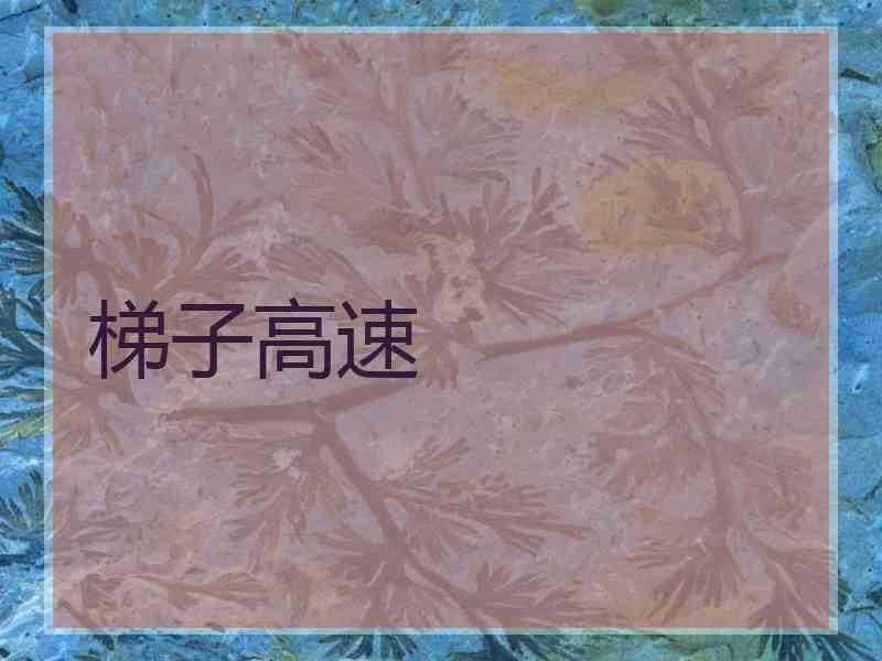 梯子高速