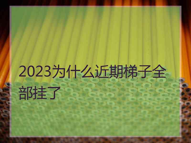 2023为什么近期梯子全部挂了