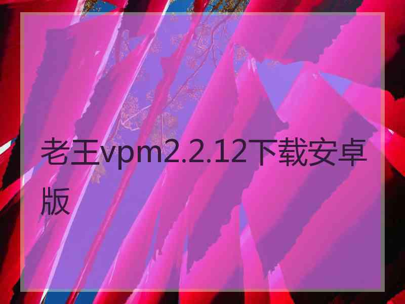 老王vpm2.2.12下载安卓版
