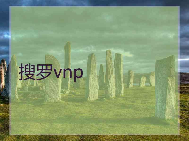 搜罗vnp