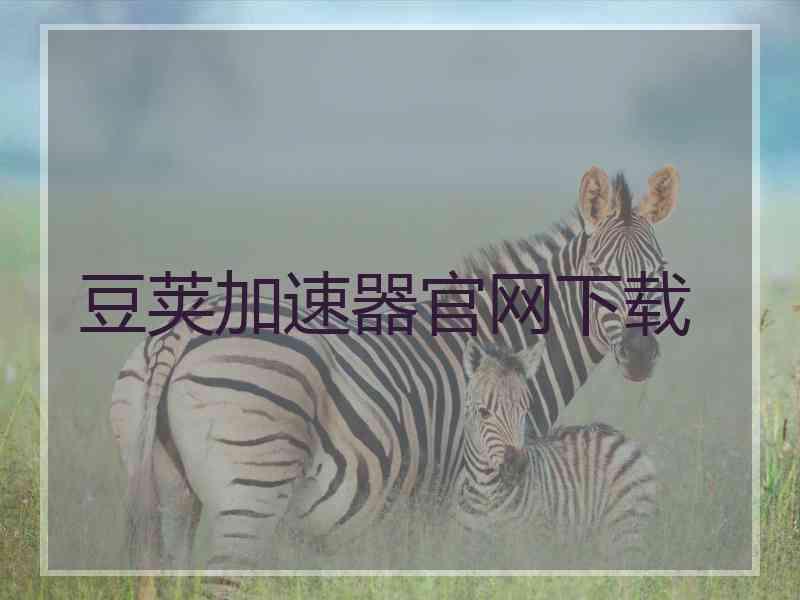 豆荚加速器官网下载