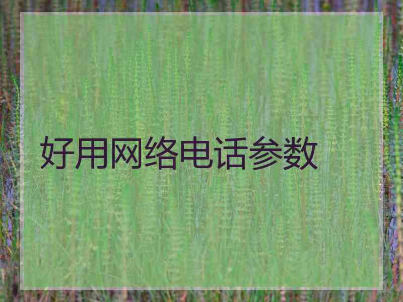 好用网络电话参数