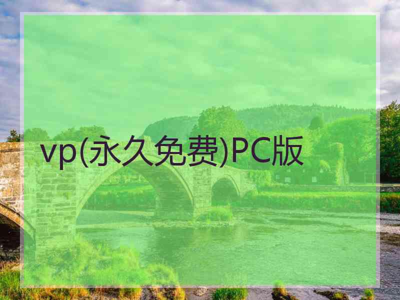 vp(永久免费)PC版