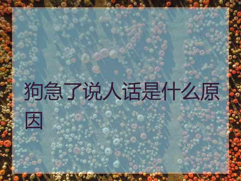 狗急了说人话是什么原因