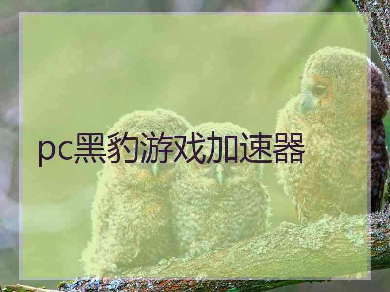 pc黑豹游戏加速器