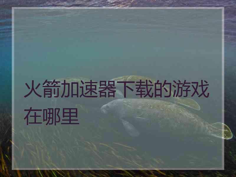 火箭加速器下载的游戏在哪里