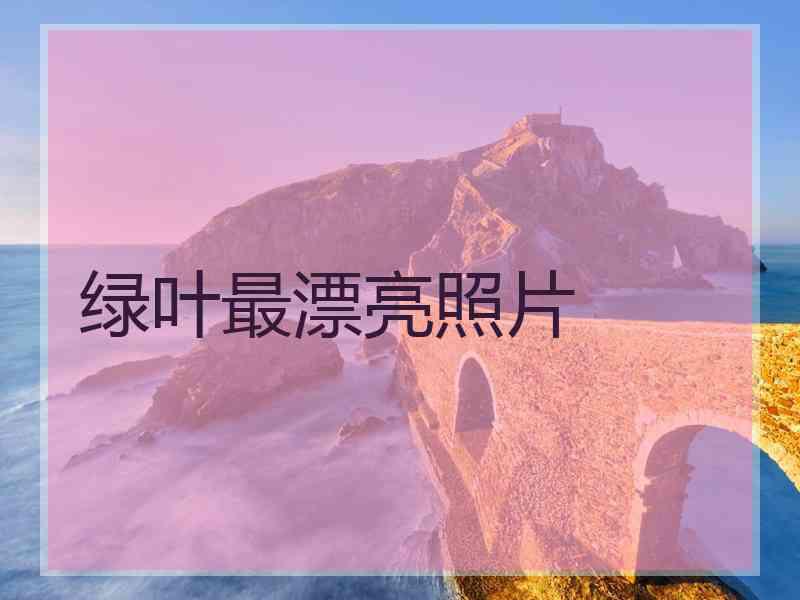 绿叶最漂亮照片
