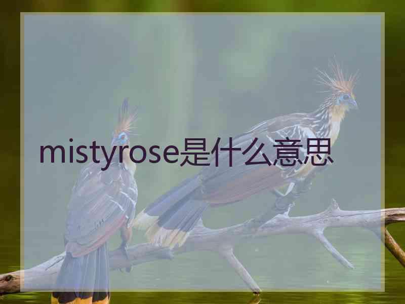 mistyrose是什么意思