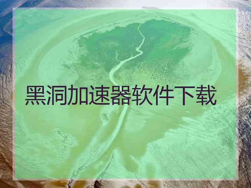 黑洞加速器软件下载
