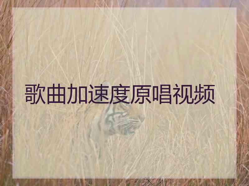 歌曲加速度原唱视频