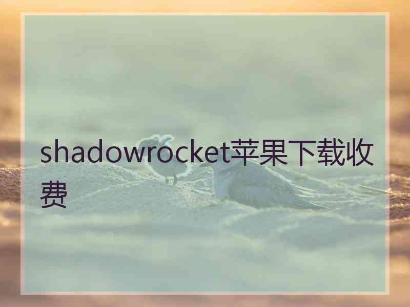 shadowrocket苹果下载收费